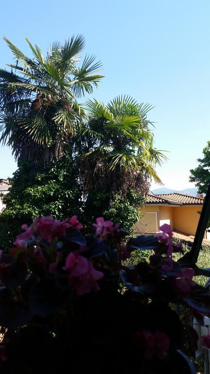 Grandpa Mau Hotel Lucca Exterior photo